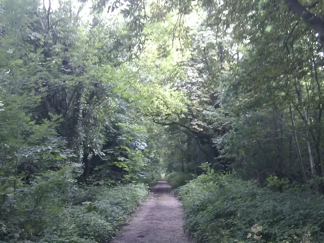 Development controversy: property construction planned despite residential opposition