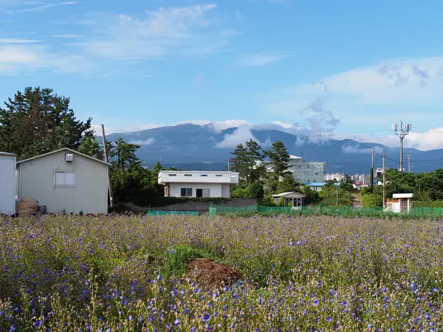 California withdraws financial support for the world's biggest virtual power station