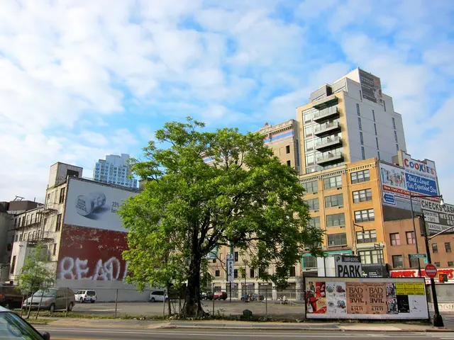 Environmental Programme in Development, Overseen by the Commission