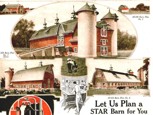 Accelerated Timelines for Animal Welfare Advancements: Shorter Deadlines Enforced