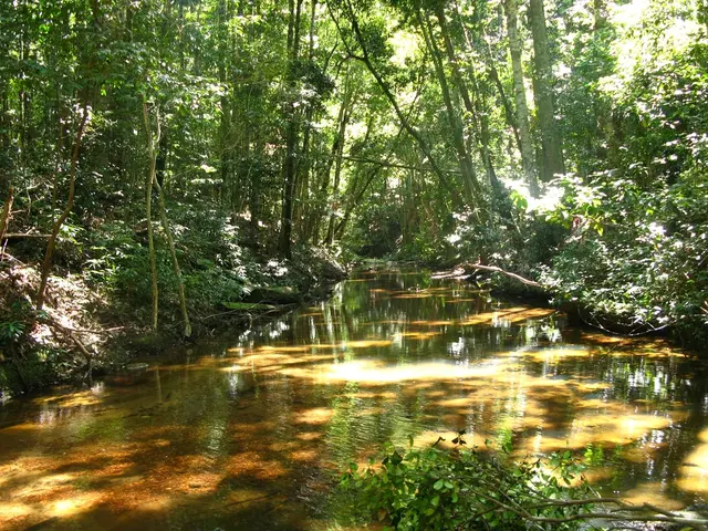 Construction work begins in the final phase at the Peak Forest Canal, handled by Land & Water.