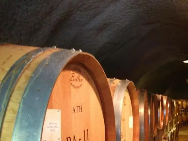 Nuclear industry braces for Brexit changes