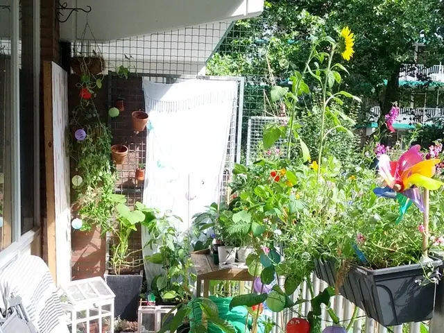 Could the House of Lords potentially overturn the government's stance on disputed amendments to...