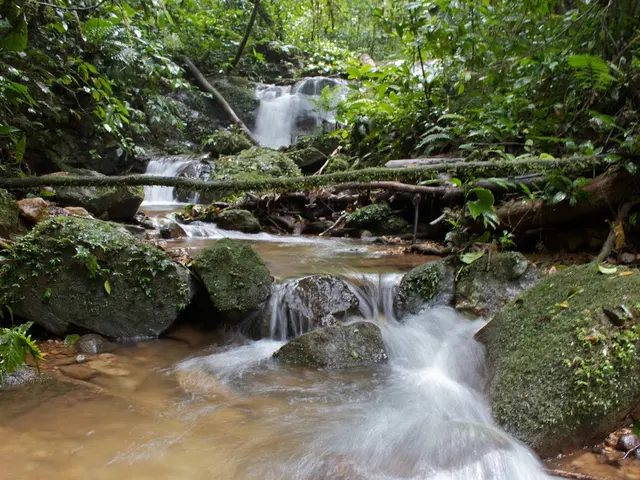 Discussion: Highlighting the Importance of Minimizing Conflicts and Injustice Resulting from...