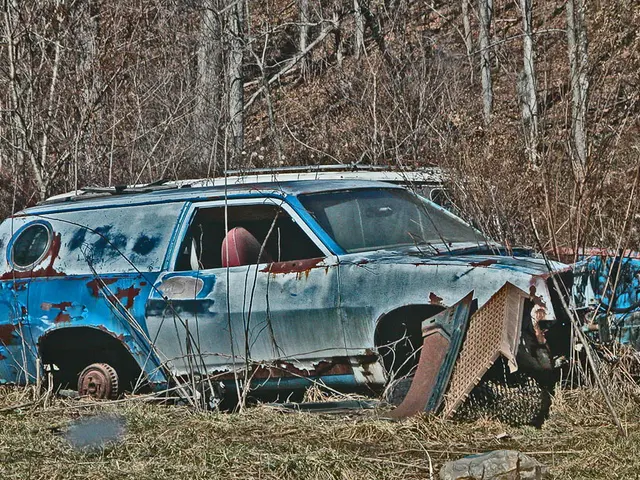 Exploring Exemptions for Assets in Bankruptcy: Safeguarding Your Ownership