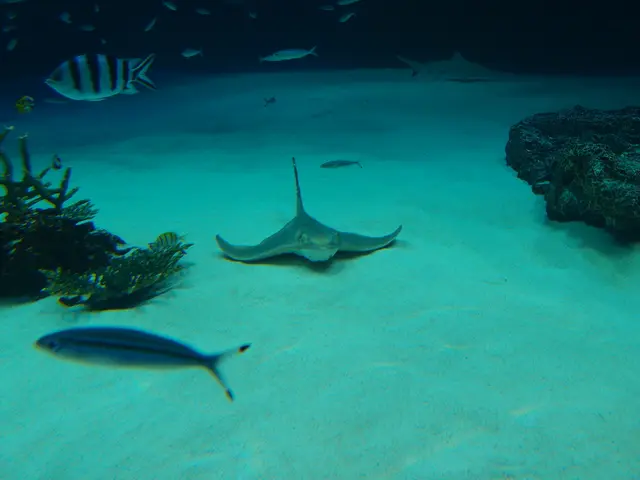 Expanded New York Pension Fund Bolsters Commitments Towards Climate Change-Focused Stock Portfolio