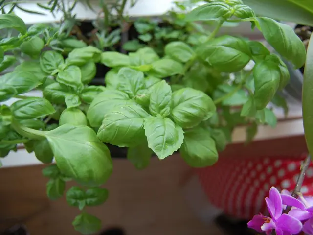 Ex-President Brixner of DRV passes away