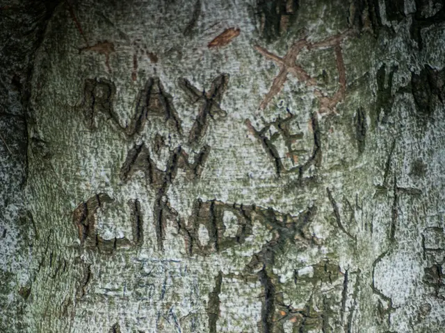 Exploring Bankruptcy and Tax Obligations: Crucial Factors Debtors Need to Know