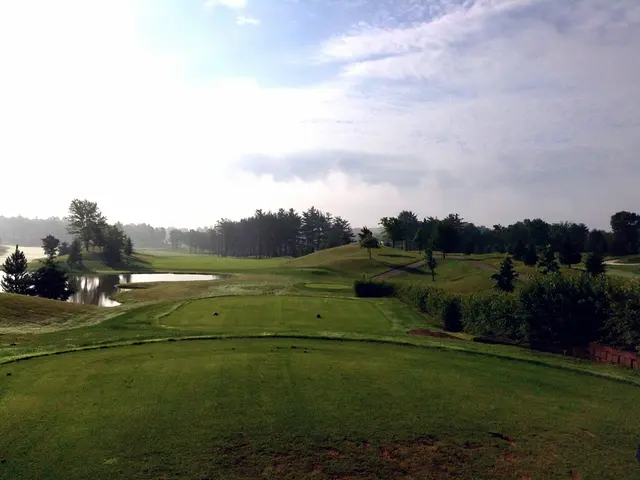 Rapid reduction of carbon emissions is crucial to avoiding financial losses in the stock market