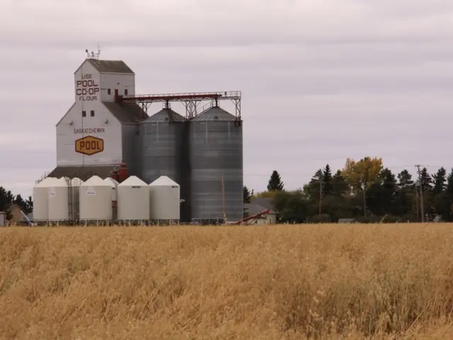 Stockholders endorse initial interim cash disbursement from Tabreed