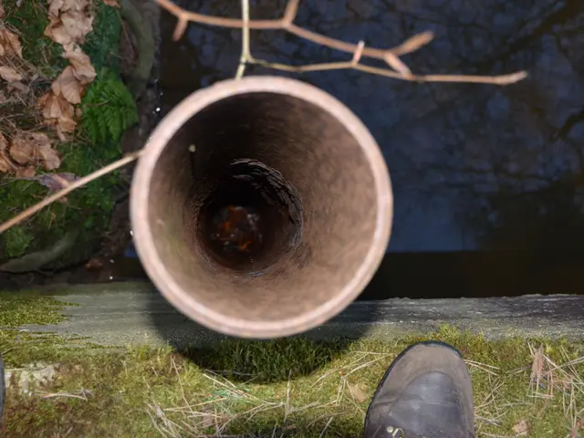 In this image we can see a pipeline, twigs, grass, sky, trees and shoes.
