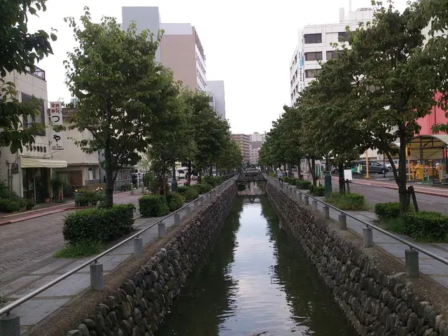 In this image there is a water canal in the center. On the either sides of the image there are...