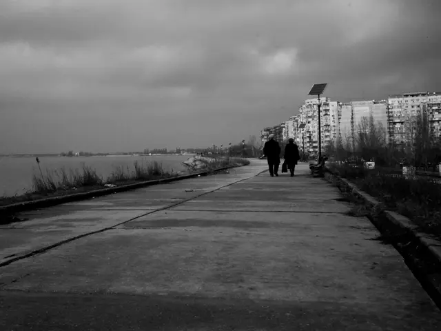 In this image I can see few buildings, dry trees, water, few people, sky and few solar-panels on...