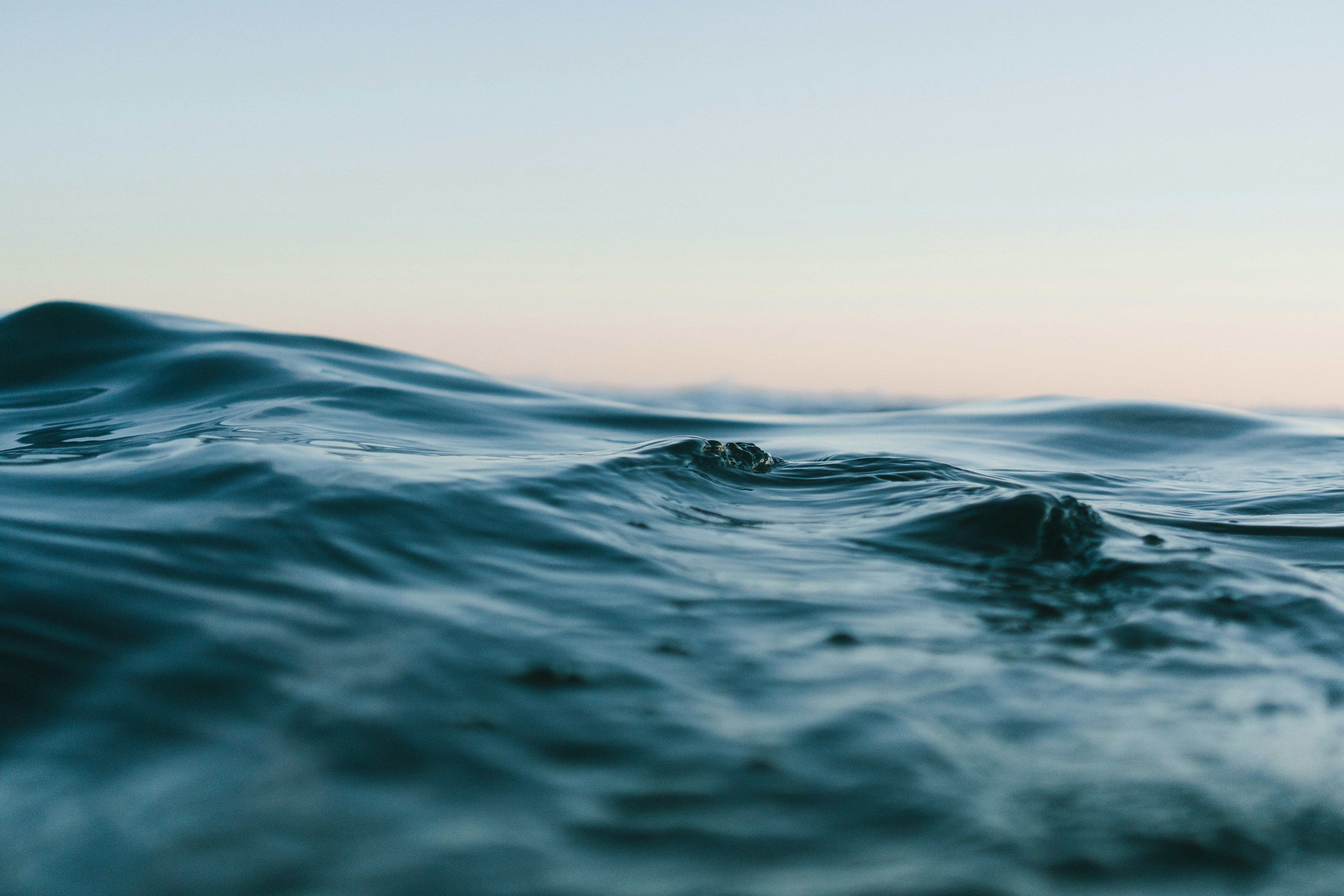 Stablecoin market leader's first-quarter earnings in 2025 saw notable profits.