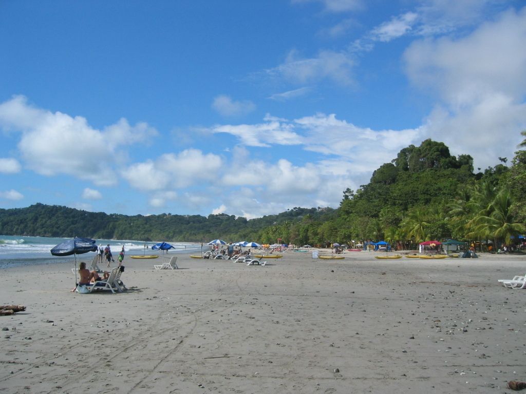 Multiple organizations seek new leaders to take charge.