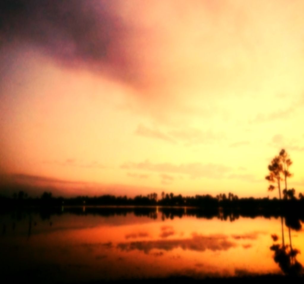 Unravel the remarkable odyssey of Nelson Mandela, a beacon of human rights, traces his humble...