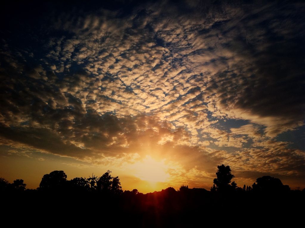 Japan rekindles application process for Integrated Resorts, targeting approval of two fresh...