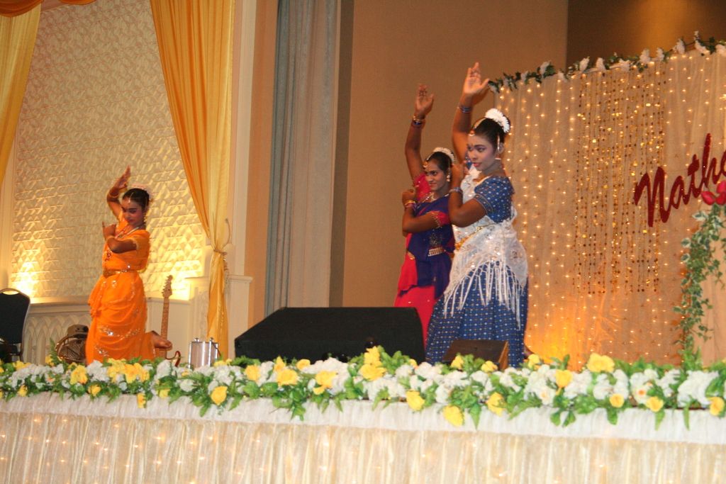 UNPFII 24th Session: Discussion on Financing Indigenous Peoples' Activities within Multilateral and...