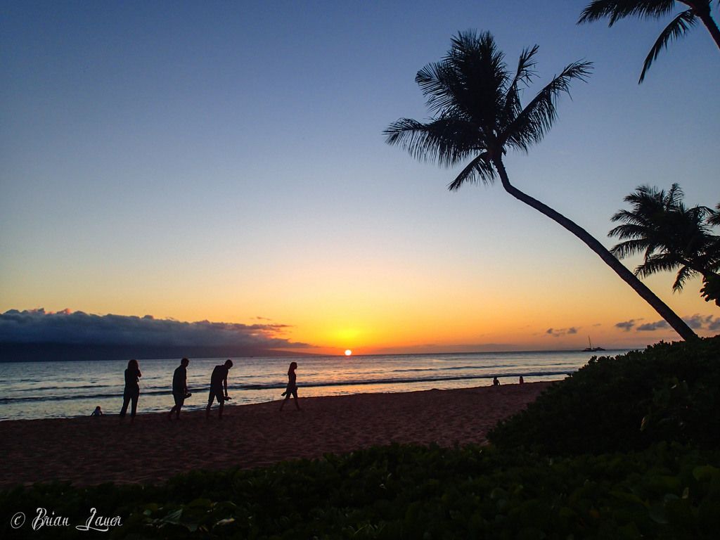 Following an unexpected decrease in inflation, the Bank of England prepares for further interest...